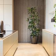 Walnut | Acoustic Panel (Beige Felt) gallery detail image