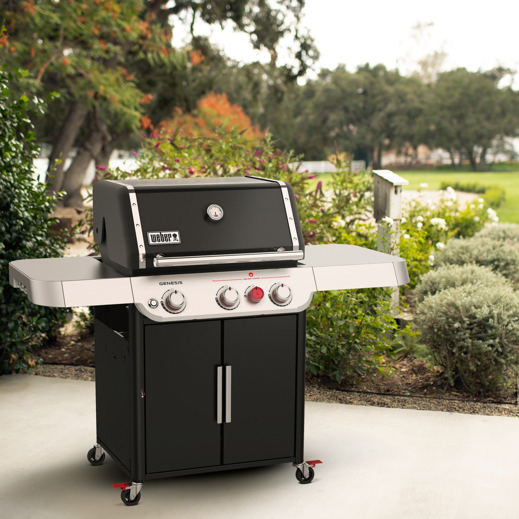 Weber Genesis E-325s NG gallery detail image