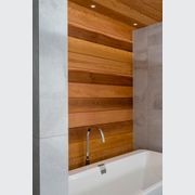 Western Red Cedar TG&V gallery detail image