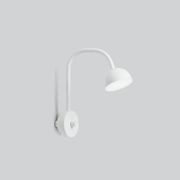 Blush Wall Light gallery detail image