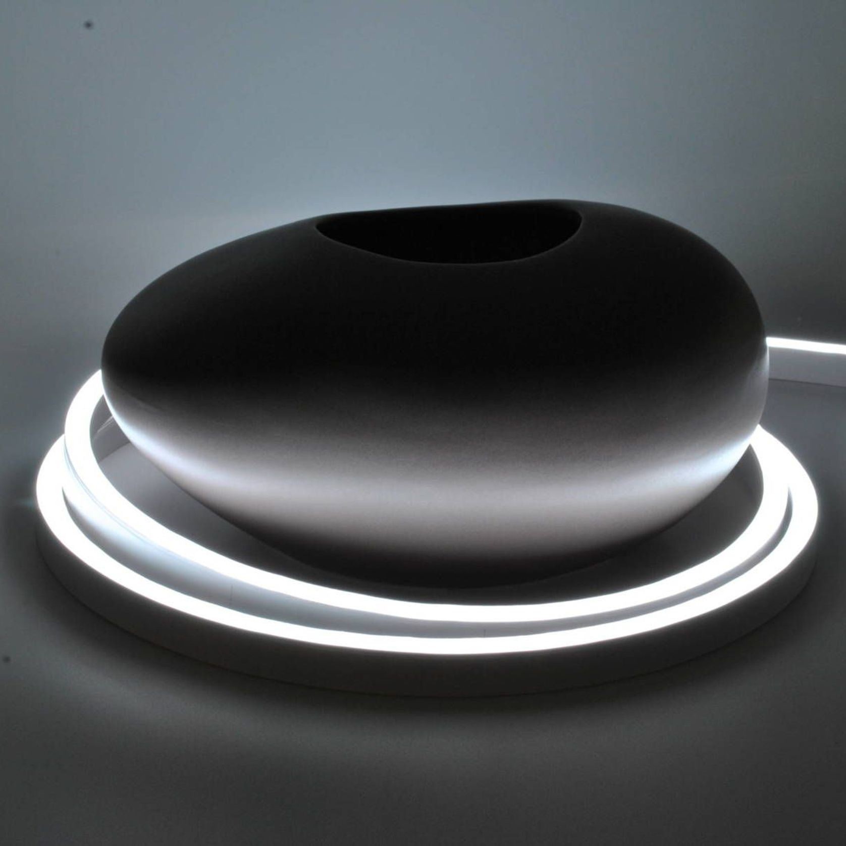 Python gallery detail image