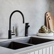 Billi Home BA with XL Levered Dispenser gallery detail image