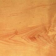 American Hard Maple gallery detail image