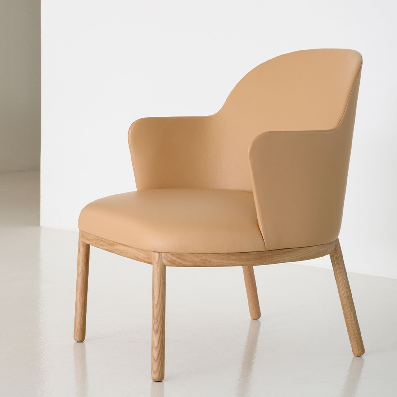 Aleta Lounge Chair - Wooden Base with Arms gallery detail image