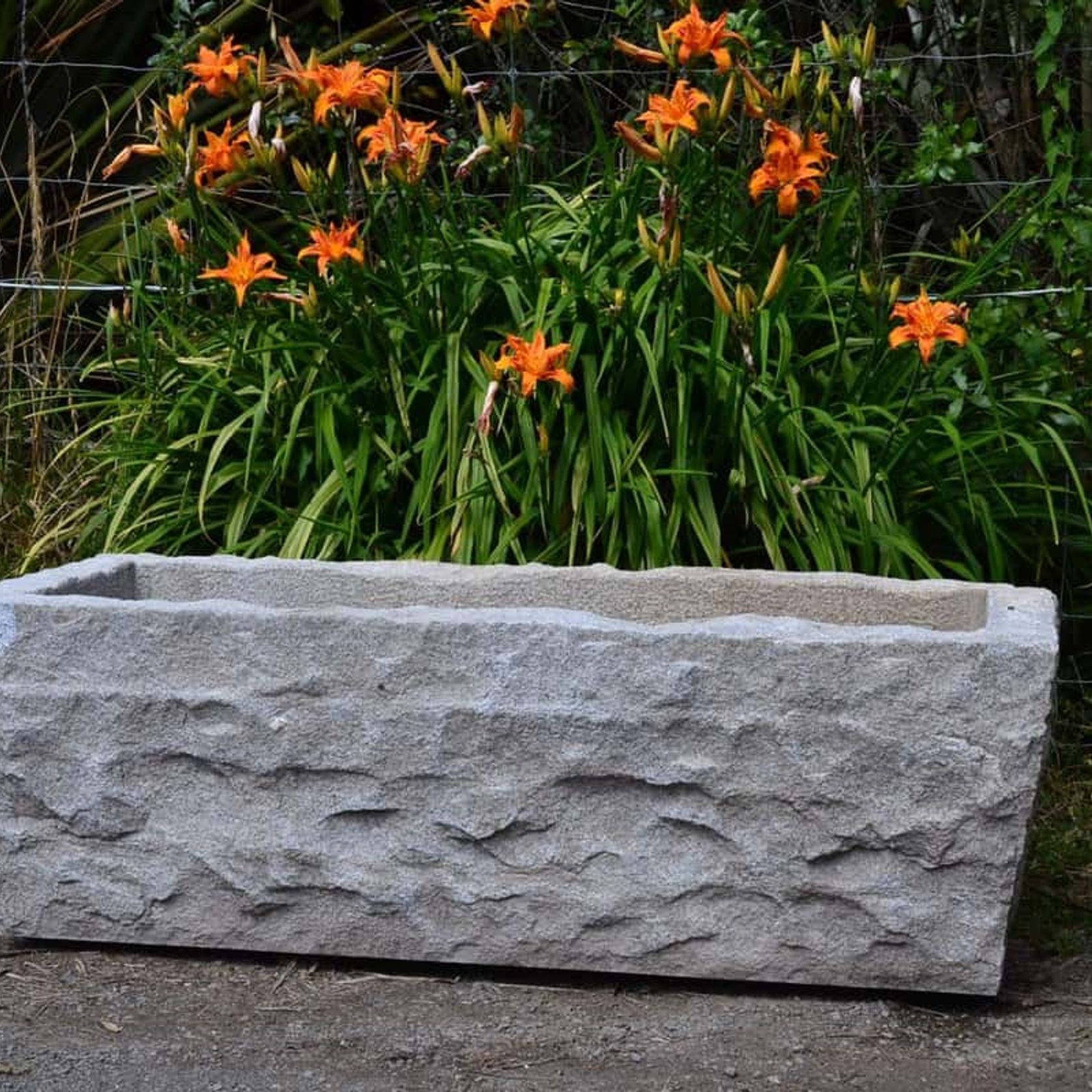 Assisi Trough gallery detail image