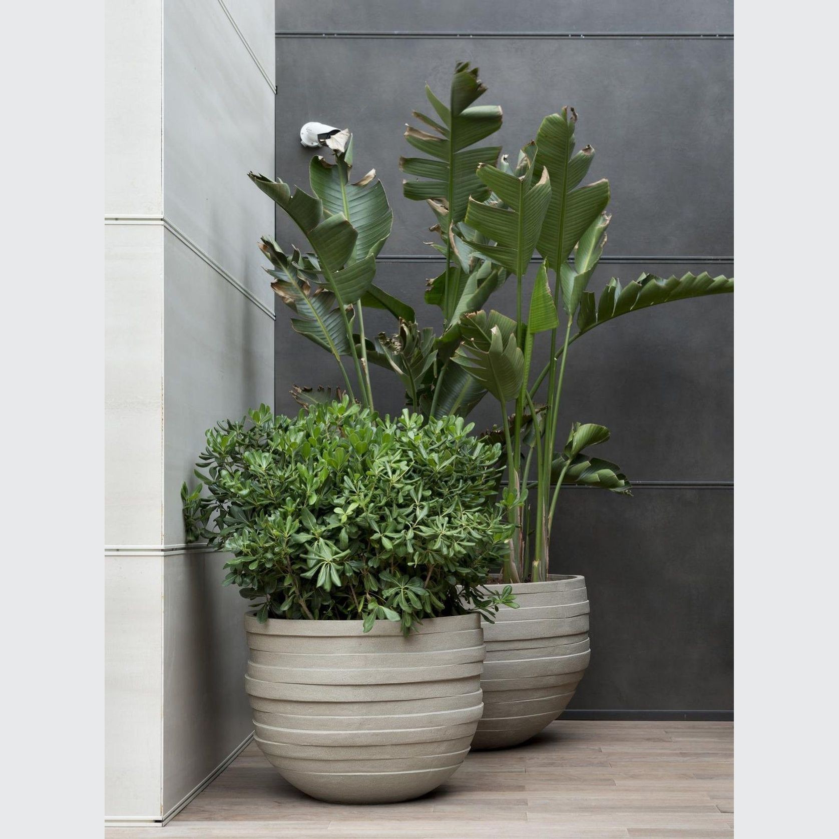 UF gallery detail image