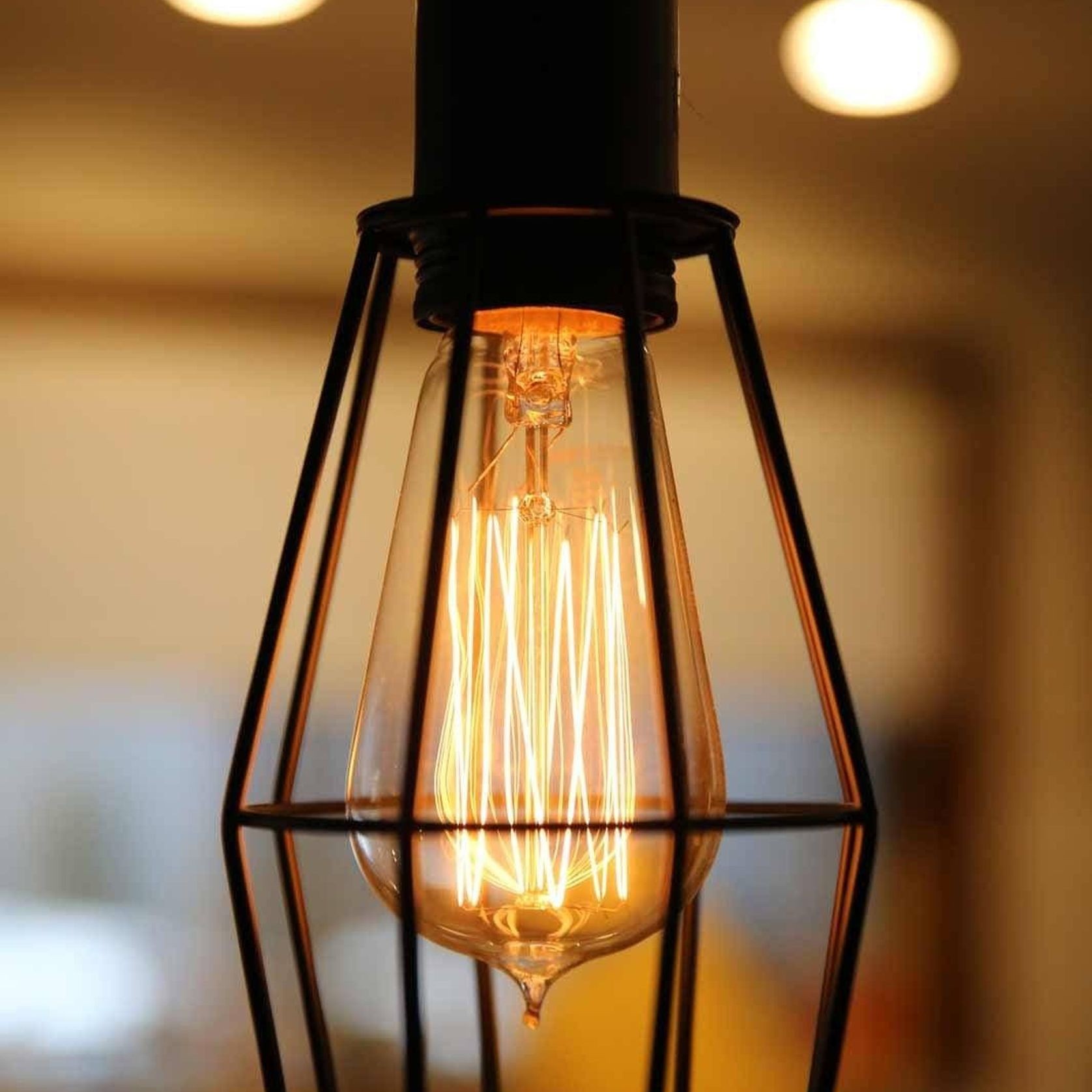 Industrial Cage Light - Black gallery detail image