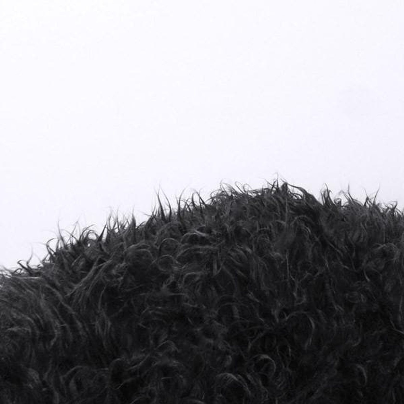 Fur Bean Bag - Black Polo gallery detail image