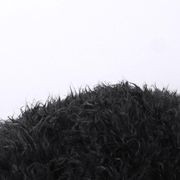 Fur Bean Bag - Black Polo gallery detail image