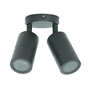 Mounted Double Adjustable Outdoor Light gallery detail image