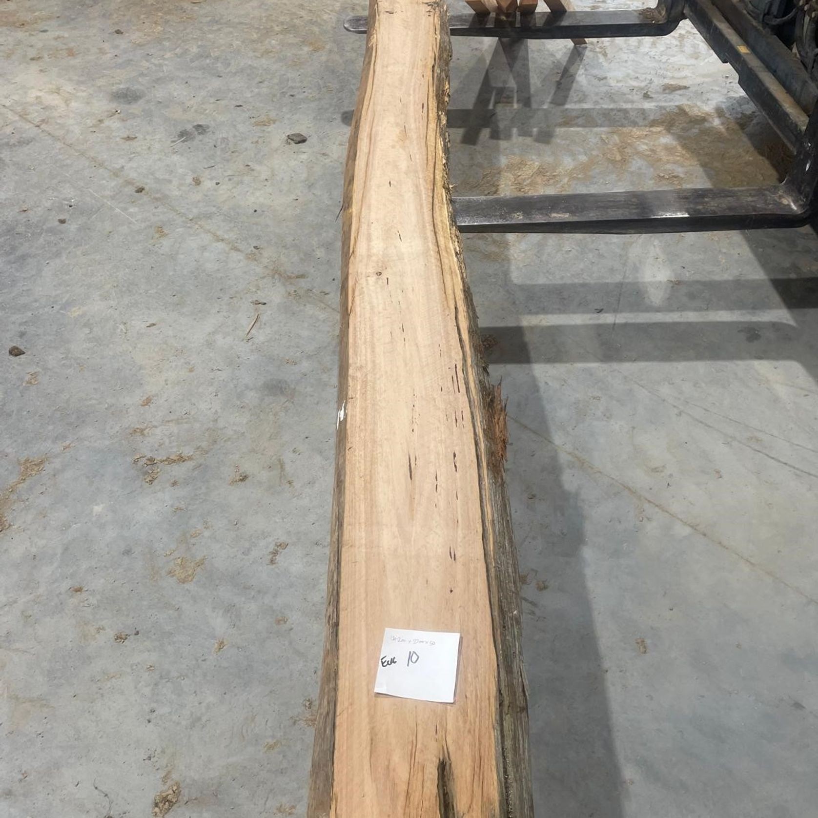 Eucalyptus Slabs gallery detail image