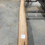 Eucalyptus Slabs gallery detail image