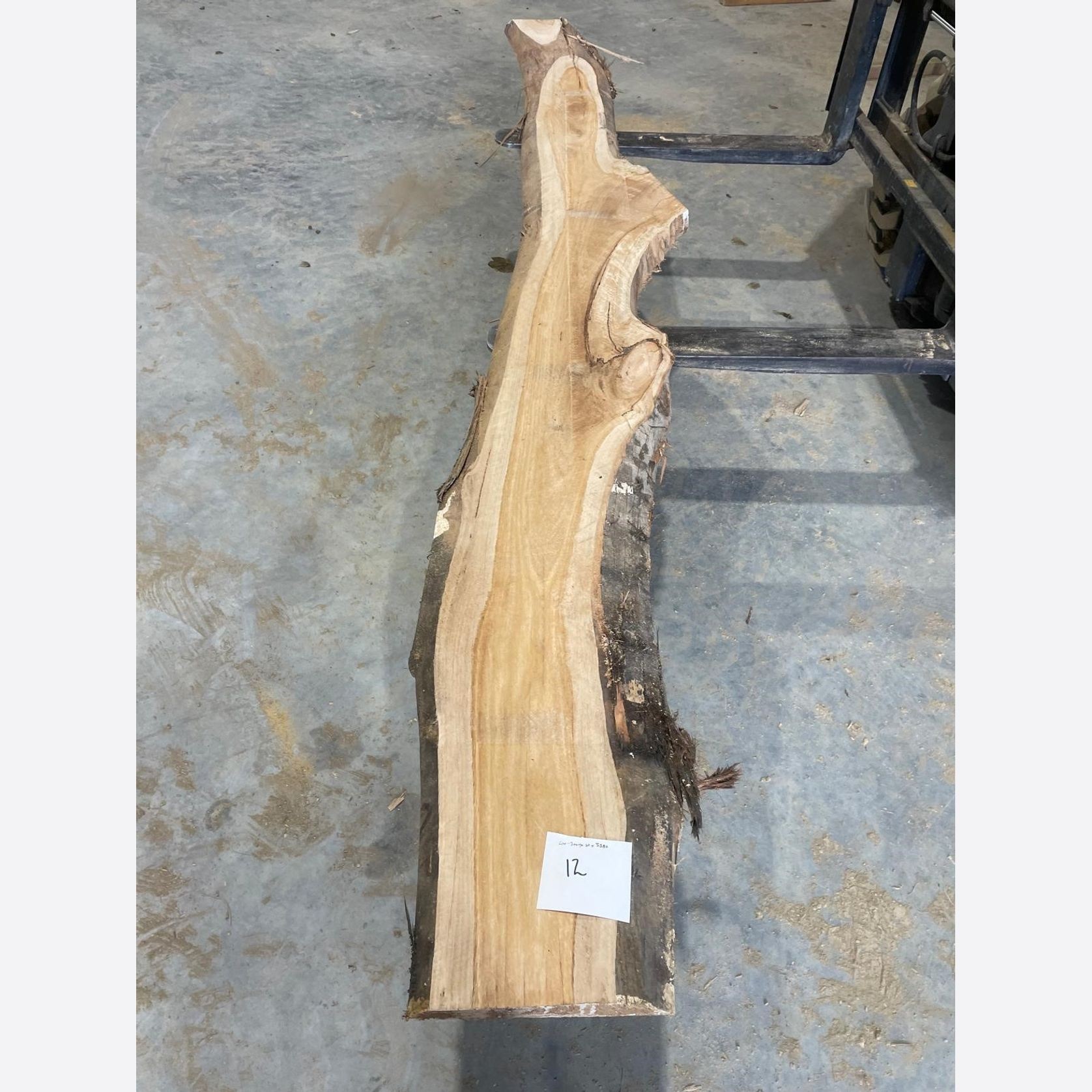 Eucalyptus Slabs gallery detail image
