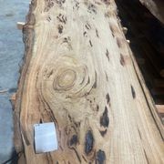 Eucalyptus Slabs gallery detail image