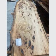 Eucalyptus Slabs gallery detail image