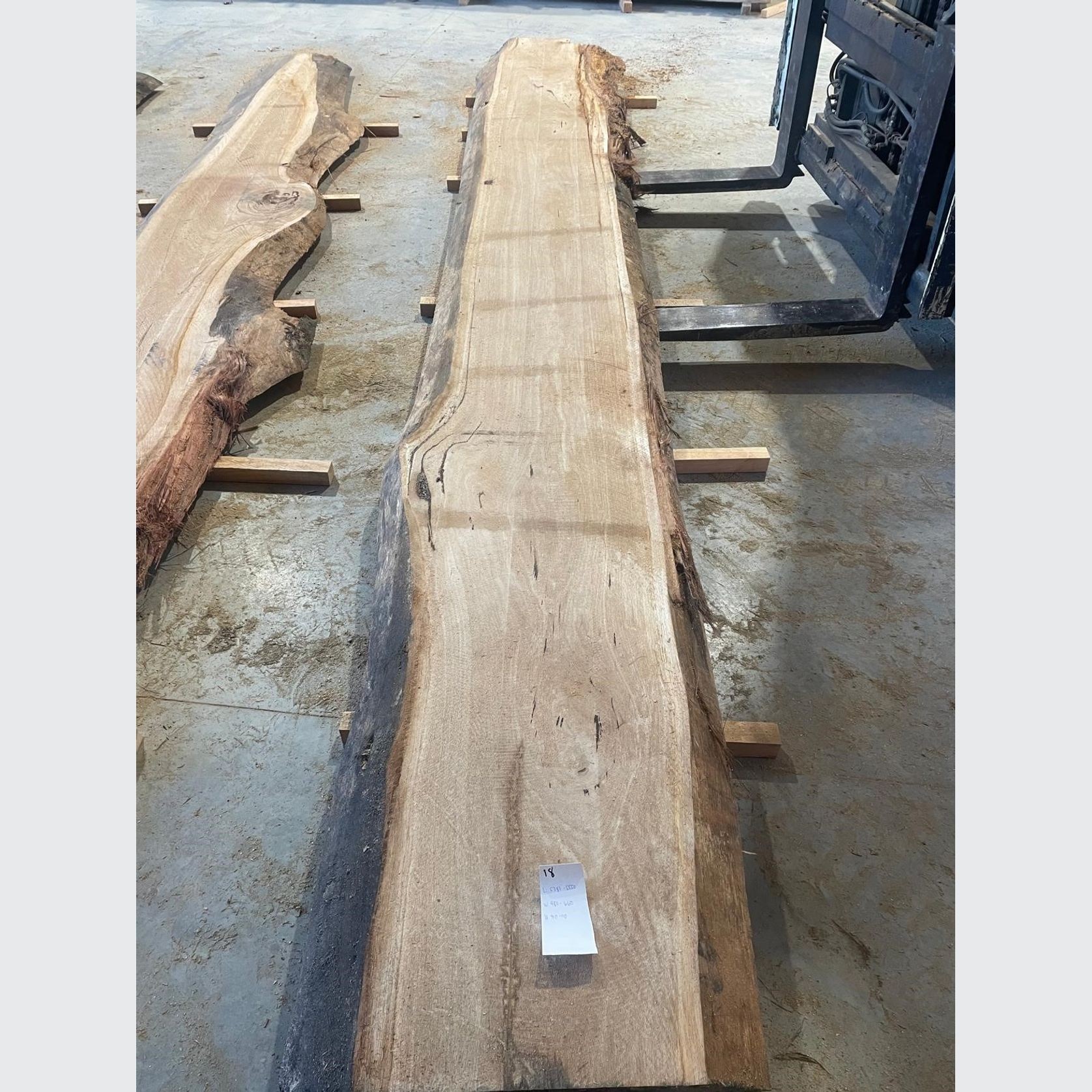 Eucalyptus Slabs gallery detail image