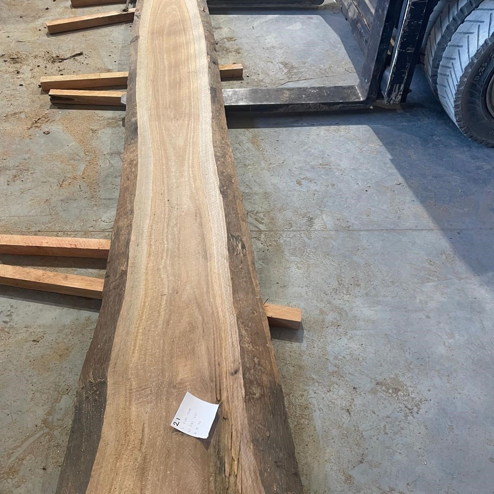 Eucalyptus Slabs gallery detail image