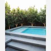 Premium Bluestone Pool Coping gallery detail image