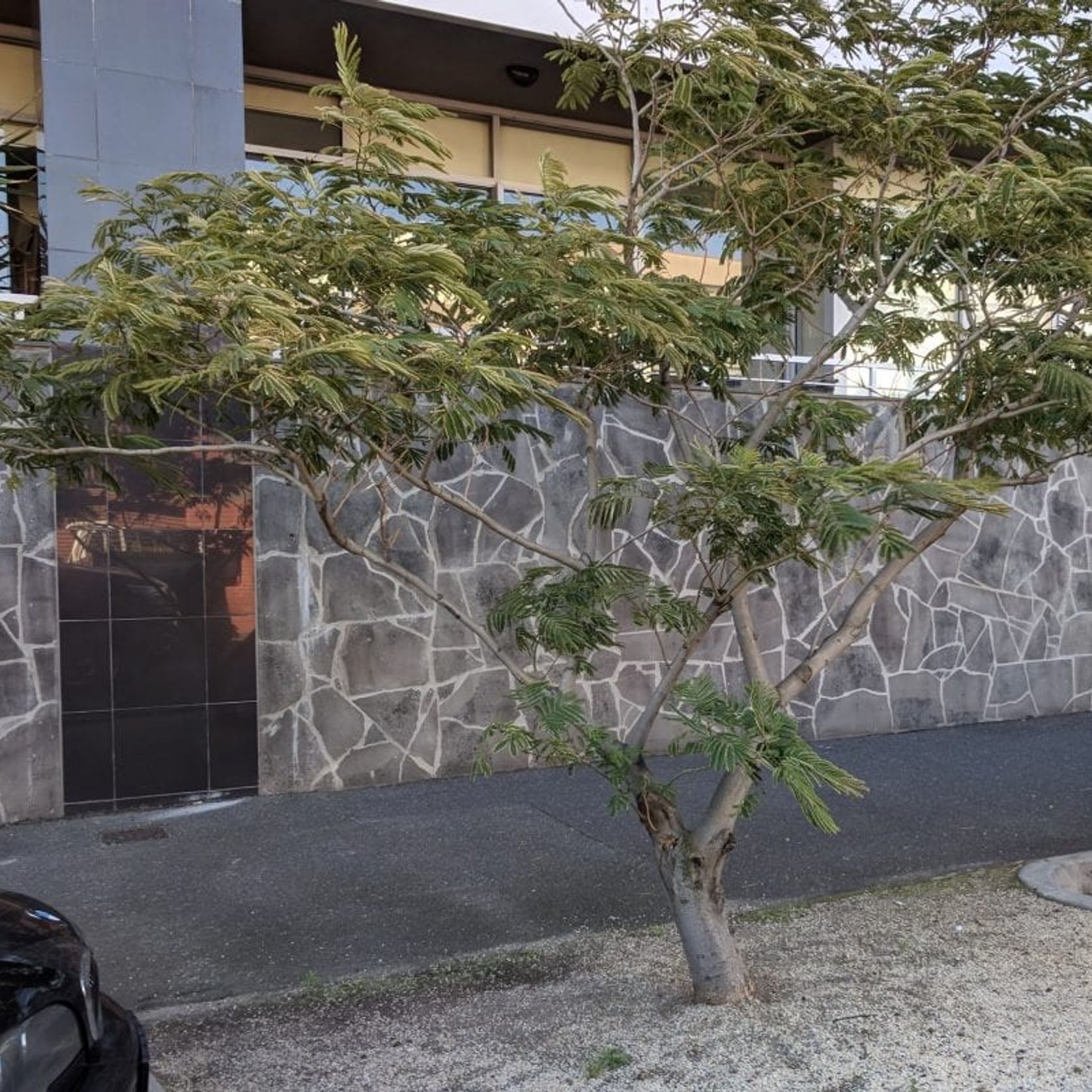 Premium Bluestone Crazy Paving gallery detail image