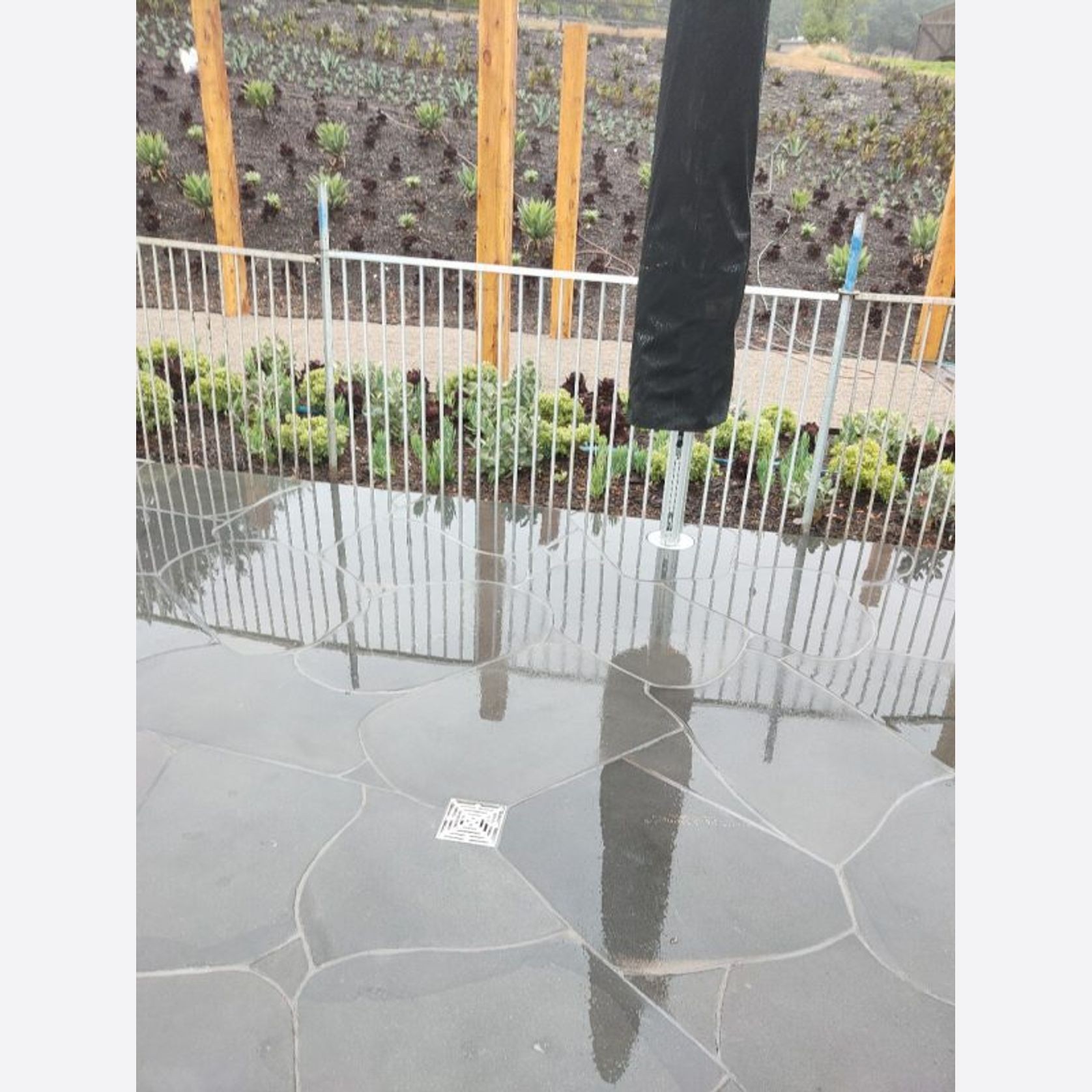 Premium Bluestone Crazy Paving gallery detail image