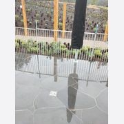 Premium Bluestone Crazy Paving gallery detail image