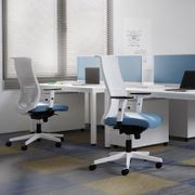 Altum Mesh Task Chair gallery detail image