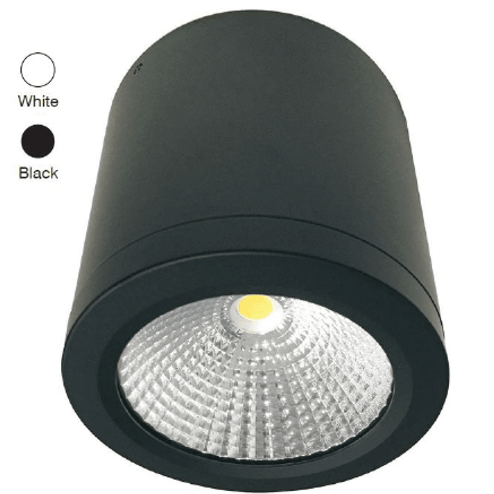 LED Surface Mounted Can Light 12W gallery detail image