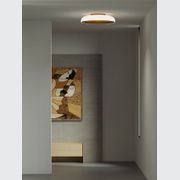 Chet-B Ceiling Surface Mounted/ Pendant gallery detail image