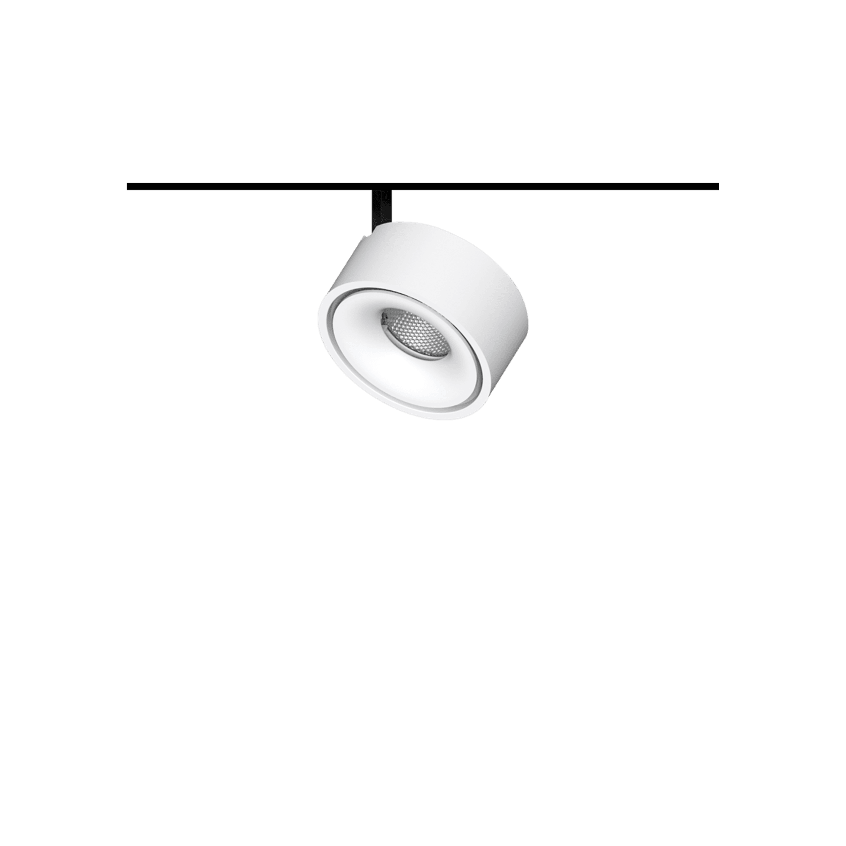 Circo-2 gallery detail image