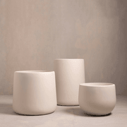 Hibernate Cluster No. 3 | Stone gallery detail image