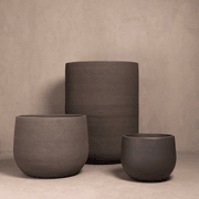 Hibernate Cluster No. 4 | Peat/Slate gallery detail image