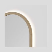 Sora Oval LED Mirror | 500x1050 gallery detail image