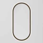 Sora Oval LED Mirror | 500x1050 gallery detail image