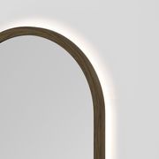 Sora Oval LED Mirror | 500x1050 gallery detail image