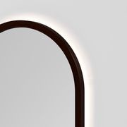 Sora Oval LED Mirror | 500x1050 gallery detail image