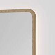 Sora Rectangle LED Mirror | 500x1050 gallery detail image
