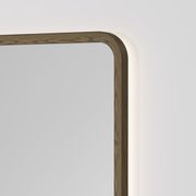 Sora Rectangle LED Mirror | 500x1050 gallery detail image