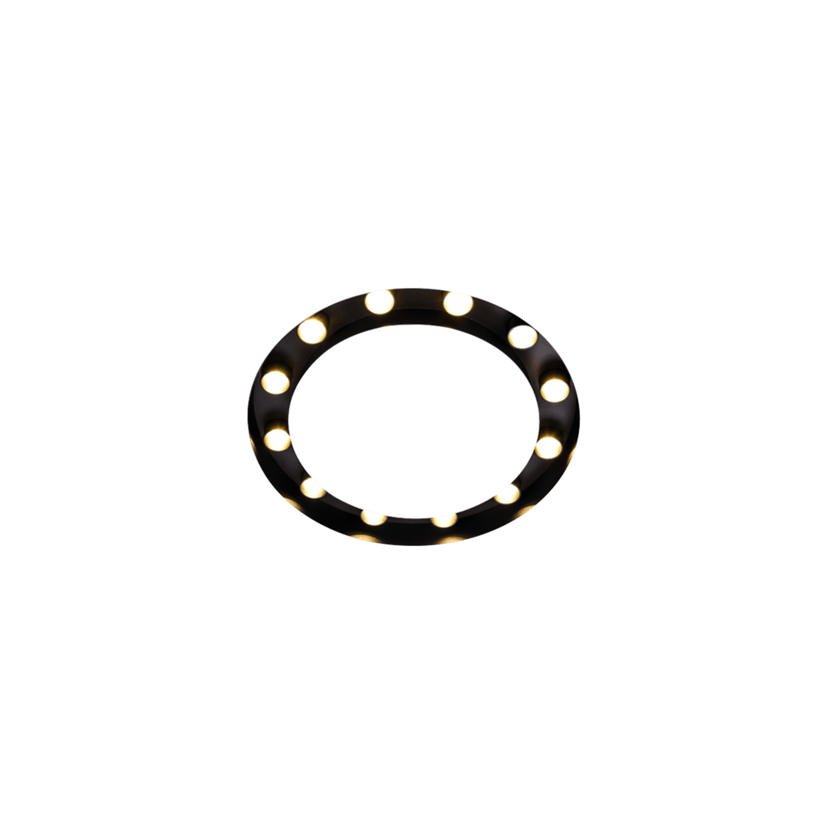 Constellation-D300 gallery detail image