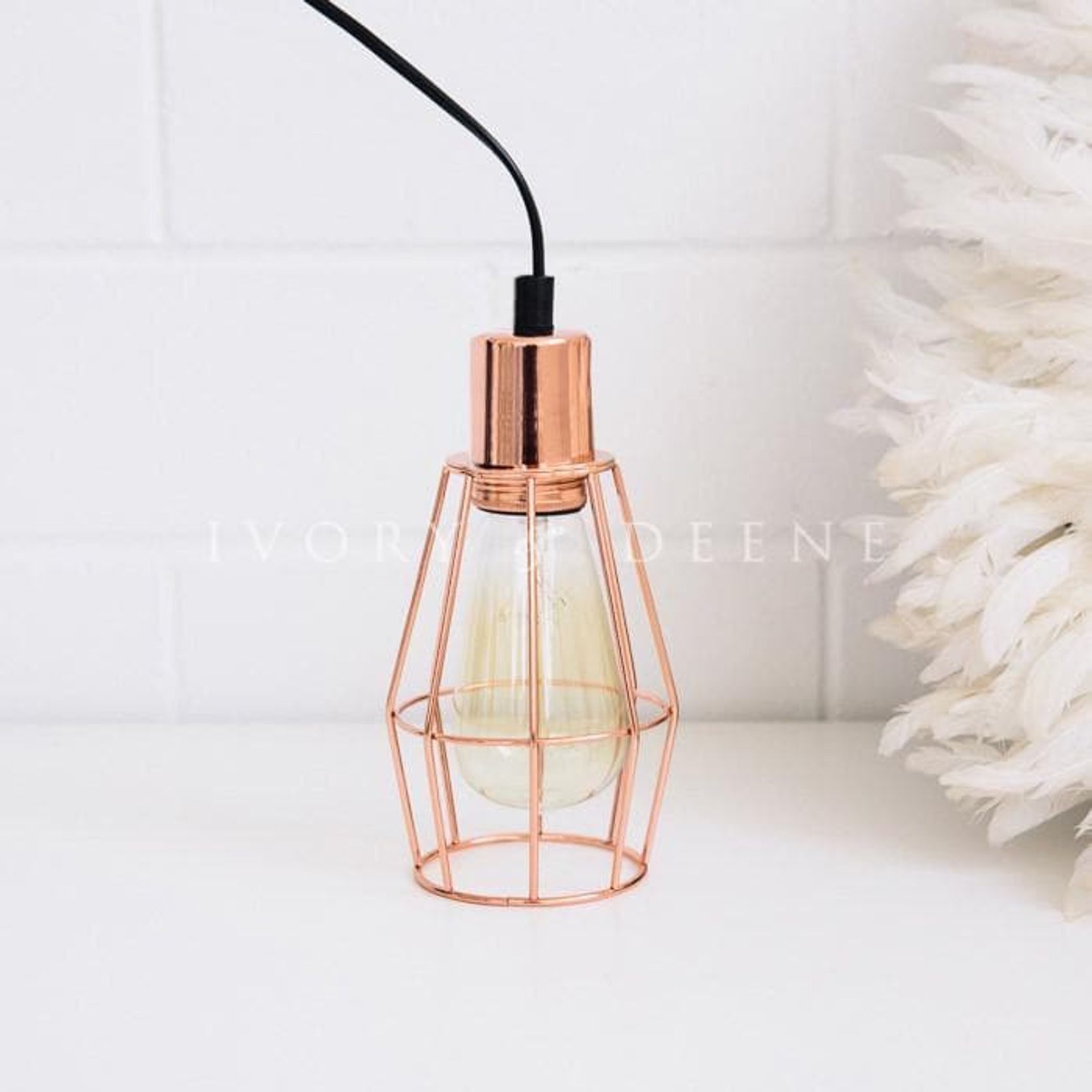 Industrial Cage Light - Copper gallery detail image