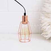 Industrial Cage Light - Copper gallery detail image