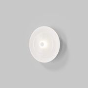 Coral Dome Wall Light gallery detail image