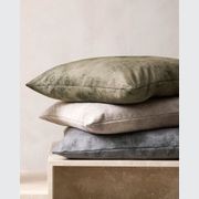 Baya Theo Velvet Cushion - Trout | Large 60 x 60cm gallery detail image