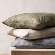 Baya Theo Velvet Cushion - Trout | Large 60 x 60cm gallery detail image