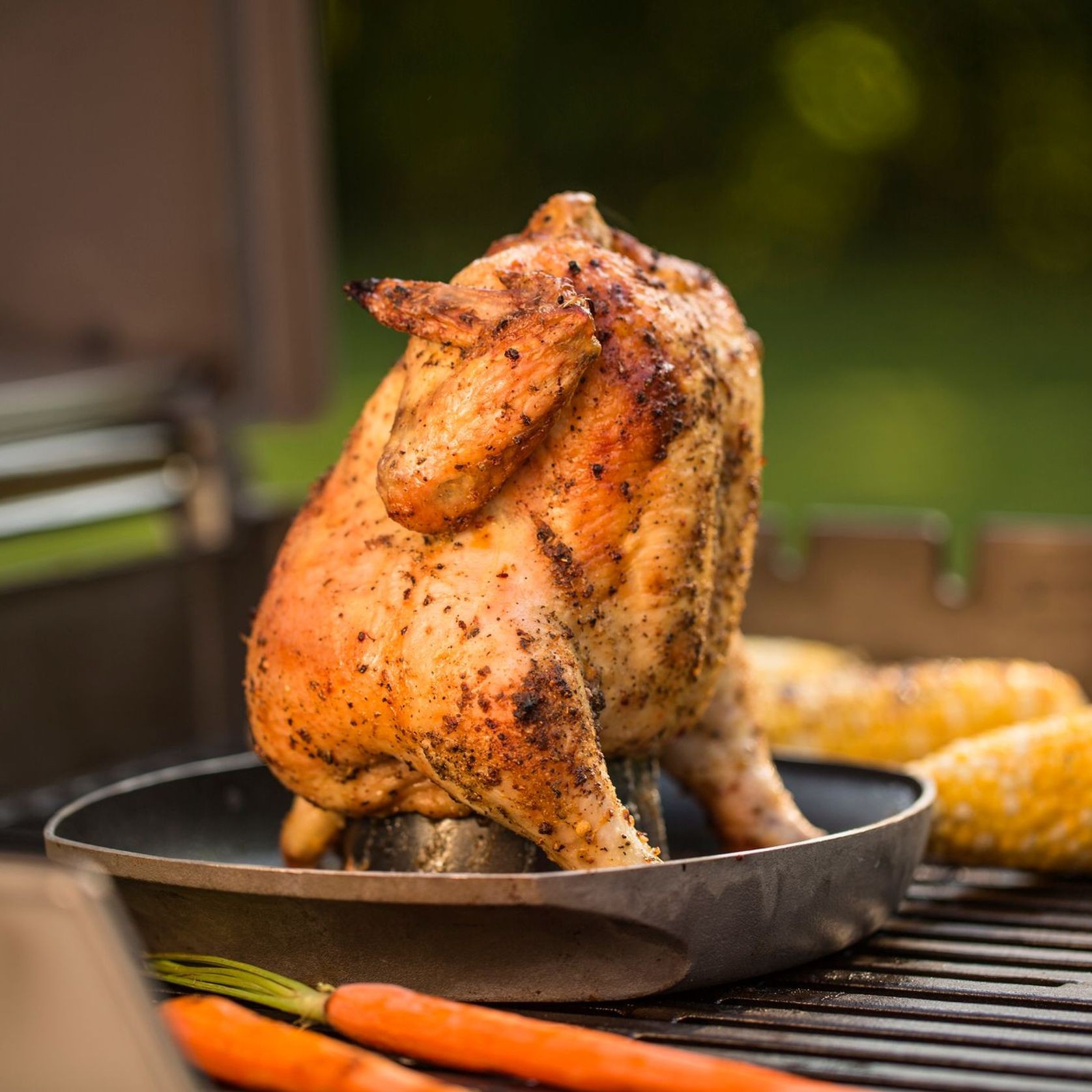 Poultry Infusion Roaster gallery detail image