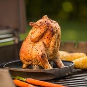 Poultry Infusion Roaster gallery detail image