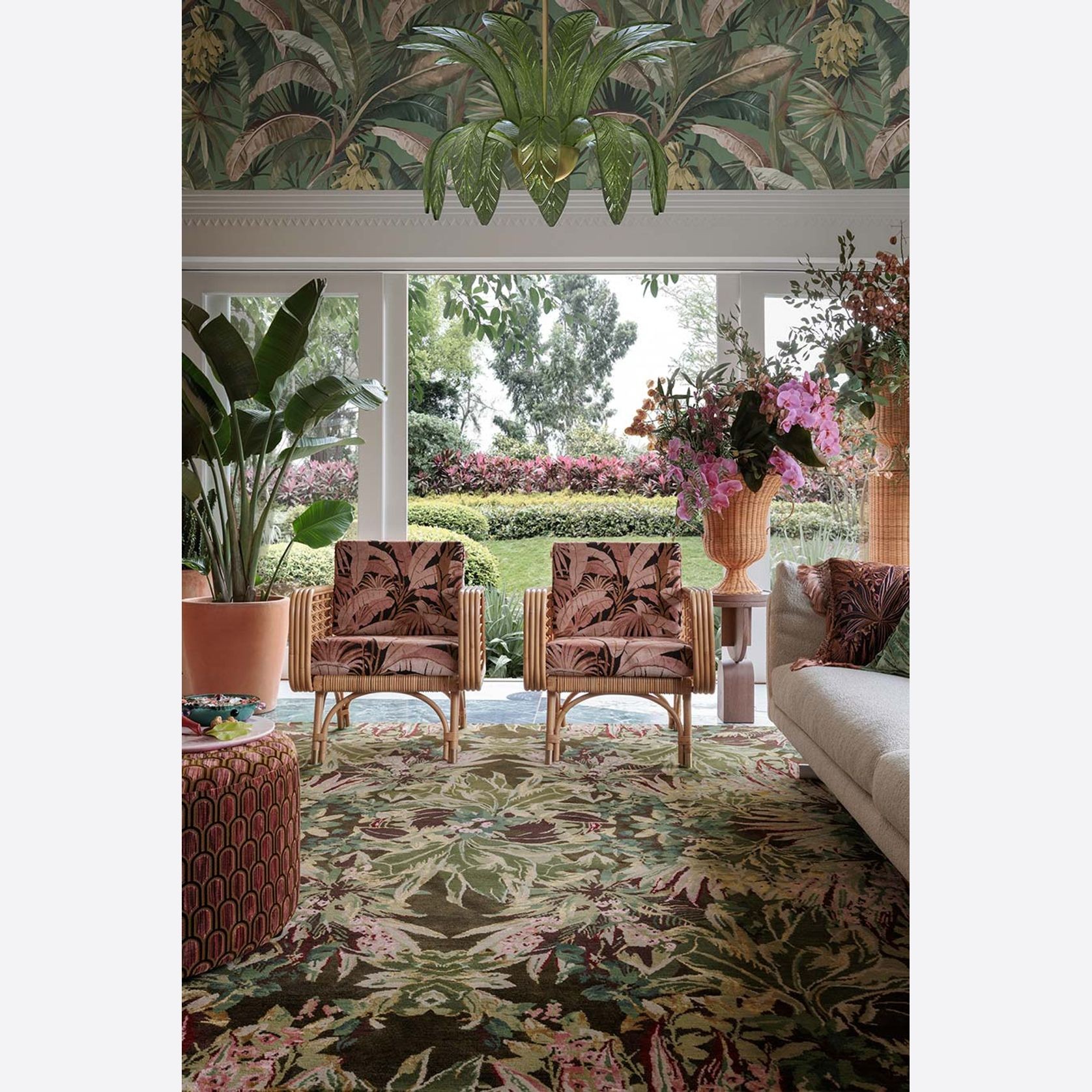 Cordyline gallery detail image