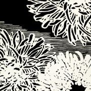 Fuyu gallery detail image