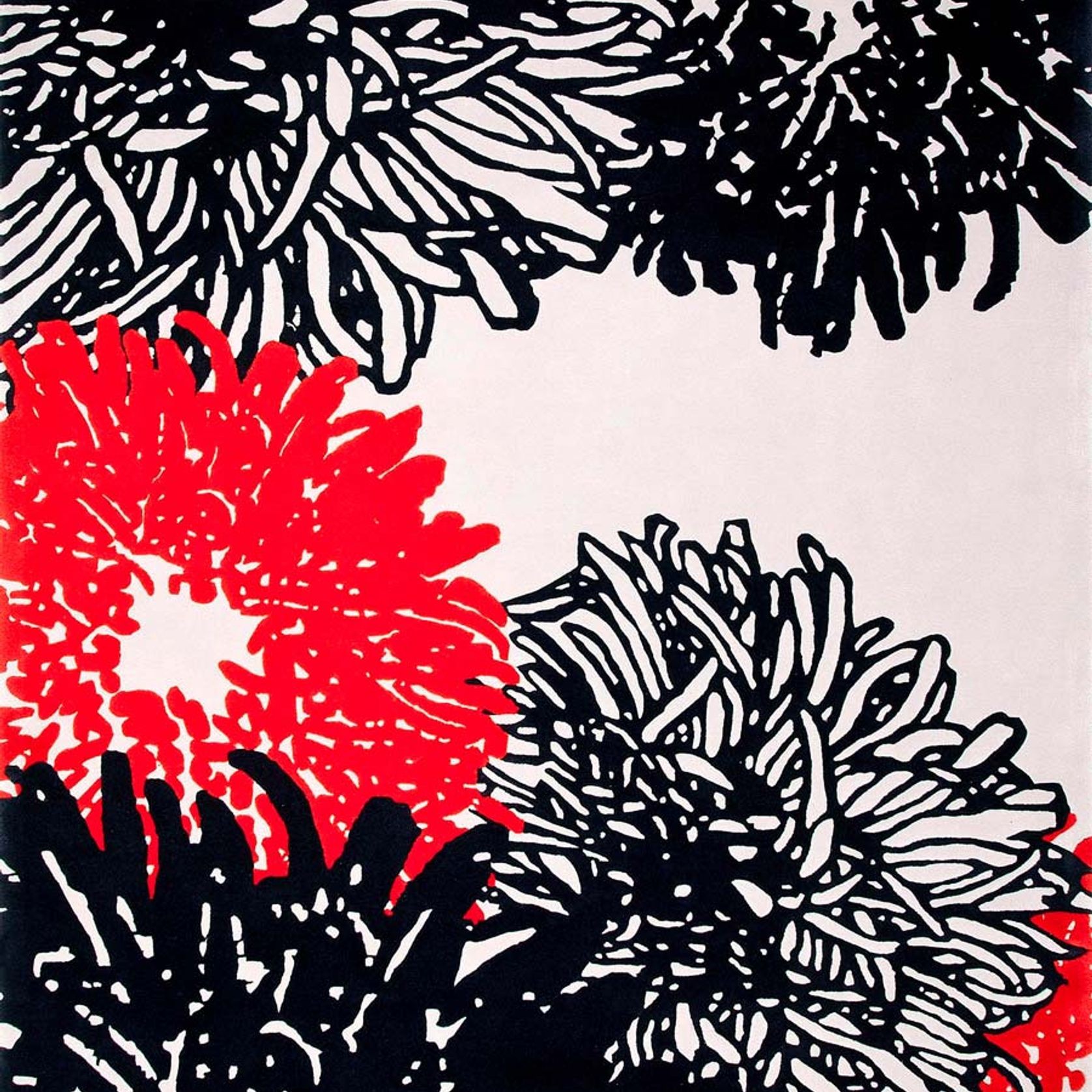 Kiku gallery detail image