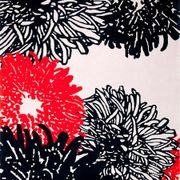 Kiku gallery detail image
