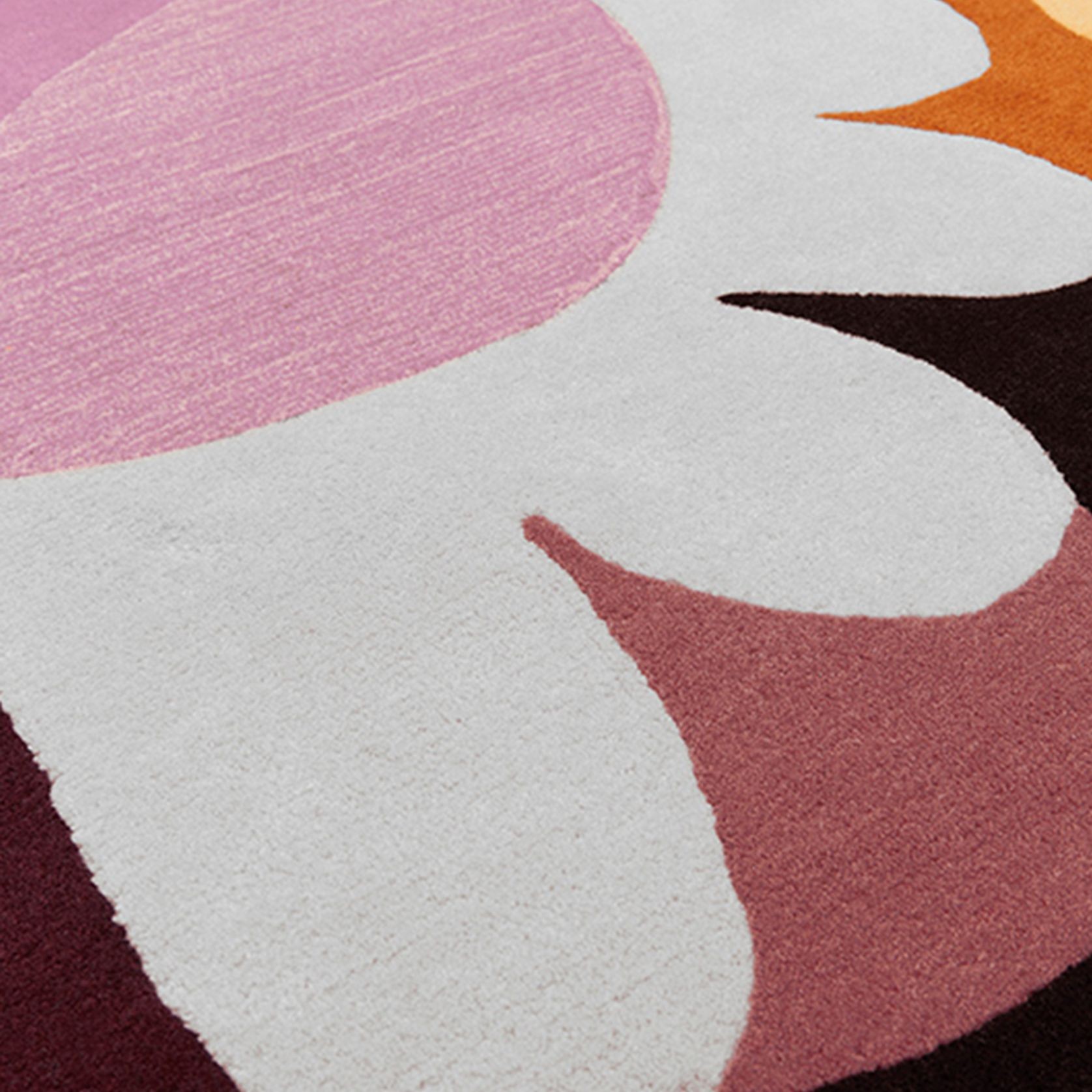 Harlequin gallery detail image